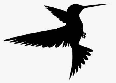 Silhouette Of A Bird Flying, HD Png Download, Free Download