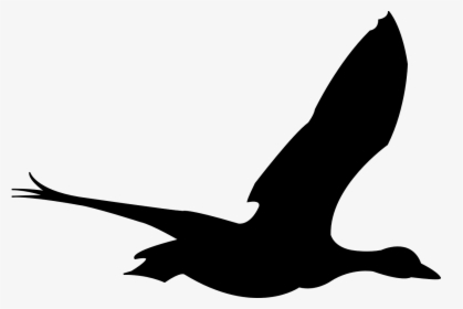 Bird Flying Animation Png, Transparent Png, Free Download