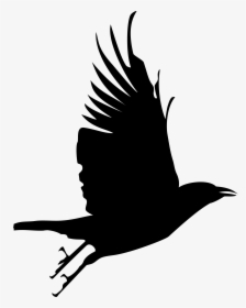 Black Birds Vector Png, Transparent Png, Free Download