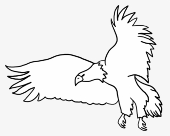 Free Png Download Black Flying Eagle Png Images Background - Eagle Black And White Drawing, Transparent Png, Free Download