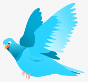 Transparent Flying Bird Silhouette Png - Bird Flying Clipart Png, Png Download, Free Download