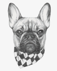 French Bulldog Head Drawing, HD Png Download, Free Download