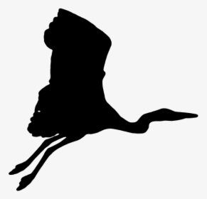 Crane, Bird, The Silhouette, Flight, Fly, Fly Out - Crane Bird Silhouette Png, Transparent Png, Free Download
