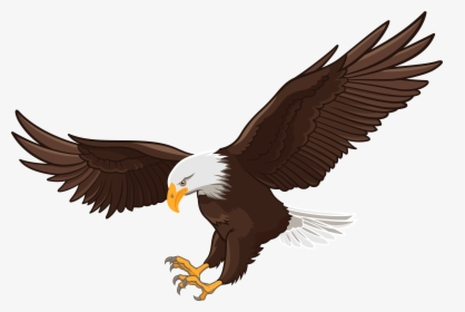 Cute Eagle Png Black And White - Bald Eagle Clipart Png, Transparent Png, Free Download