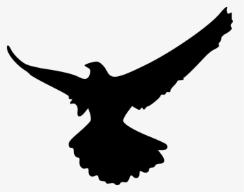 Hawk Silhouette Png - Shadow Of An Eagle, Transparent Png, Free Download