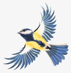 Flying Bird Transparent Png - Flying Bird Without Background, Png Download, Free Download