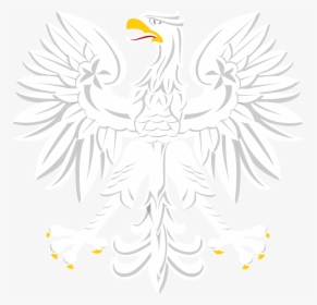Orzel Bialy Png, Transparent Png, Free Download
