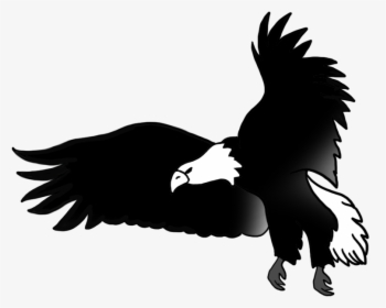 Bald Eagle Circuit Diagram Drawing - Black Eagle For Drawing, HD Png Download, Free Download