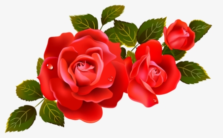 Rose Png - Roses Transparent Background Png, Png Download, Free Download