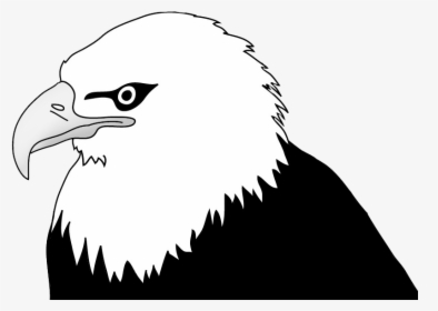 Bald Eagle Head Illustration - Bald Eagle Clipart Black And White, HD Png Download, Free Download