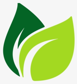 Image Result For Leaf Vector Origins Pinterest - Vector Leaf Logo Png, Transparent Png, Free Download