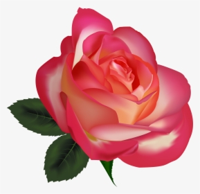 Pink Roses Flowers Png - Beautiful Clip Art, Transparent Png, Free Download