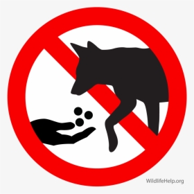 Food Dangerous Png - Don T Feed Animals Sign, Transparent Png, Free Download