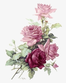 Transparent Vintage Roses Png - Pink Roses Png Transparent, Png Download, Free Download