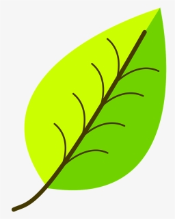 Green, Leaf, Pattern, Shades, Simple, Veins, Venation - Leaf Drawing With Color, HD Png Download, Free Download