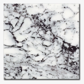 Asena White Busy Vein - White Marble Black Veins, HD Png Download, Free Download