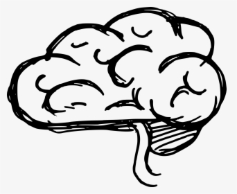 Drawing Of A Brain Flower Hd Png Download Kindpng