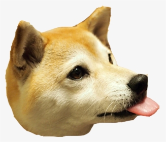 Clip Art Dog Head - Dog Head Png, Transparent Png, Free Download