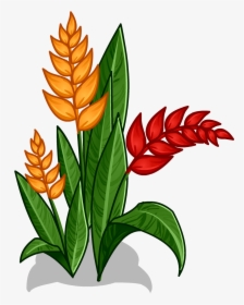 Heliconia - Amazon Rainforest Plants Drawing, HD Png Download, Free Download