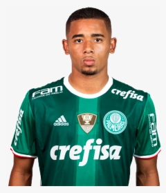 Fifa Football Gaming Wiki - Gabriel Jesus Palmeiras Png, Transparent Png, Free Download