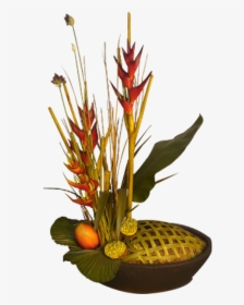 Heliconia, HD Png Download, Free Download
