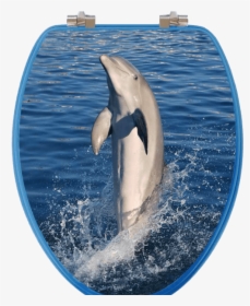 Dolphins Elongated Toilet Seat - Dolphin, HD Png Download, Free Download