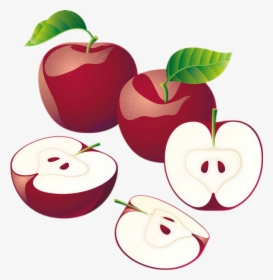 Transparent Apple Drawing Png - Vector Apple, Png Download, Free Download
