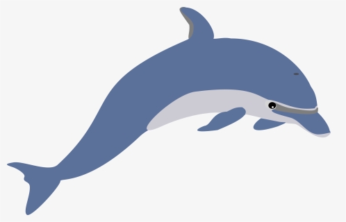Clip Art Facts For Kids And - Transparent Background Dolphin Clip Art, HD Png Download, Free Download