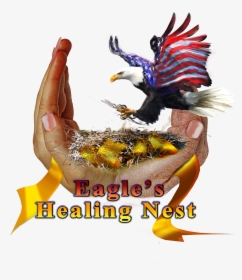 Wounded Warriors, Eagle’s Healing Nest Special Guests - Illustration, HD Png Download, Free Download
