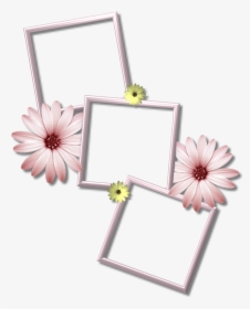 Collage Frame Png Picture - Multi Photo Frame Png, Transparent Png, Free Download