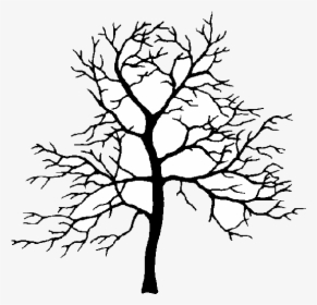 Apple Tree Oak Clipart Branch Drawing At Getdrawings - Crab Apple Tree Silhouette, HD Png Download, Free Download