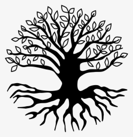 Transparent Leafless Tree Png - Tree Roots Clipart Png, Png Download, Free Download