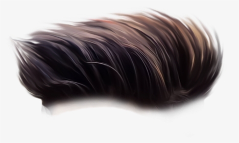 Hair Png Hd Download, Transparent Png, Free Download