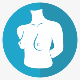Breast Icon, Female Torso, Woman, Female, Breast, Adult - Breast Icon Png, Transparent Png, Free Download