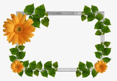 Flower Frame Png, Wallpaper Backgrounds, Nature Plants, - Flower Plants Background Png, Transparent Png, Free Download