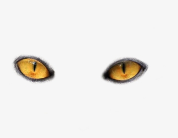 Scary Eyes Png - Cat Eyes Transparent Background, Png Download, Free Download