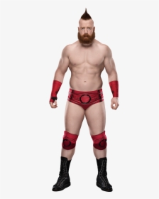 Wrestling,combat Sport,muscle,contact Sport,action - Sheamus Png 2019, Transparent Png, Free Download