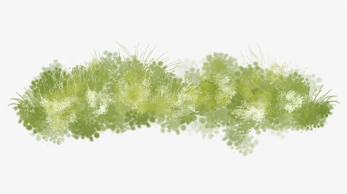 Watercolor Grass Clipart, HD Png Download, Free Download