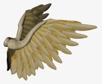 Transparent Cherub Wings Png - Eagle, Png Download, Free Download