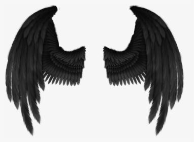 Cherub Angel Wing Fantasy - Black Angel Wings Png, Transparent Png, Free Download