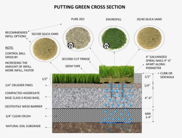 Putting Green Cross Section The Art Of Synthetic Turf - Cross Section Of A Putting Green, HD Png Download, Free Download