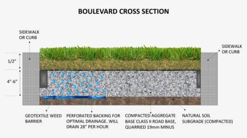 Boulevard Well Cross Section The Art Of Synthetic Turf - Turf Grass Section, HD Png Download, Free Download