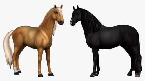 Horse Png -star Stable Horse Png , Png Download - Black Star Stable Lusitano, Transparent Png, Free Download