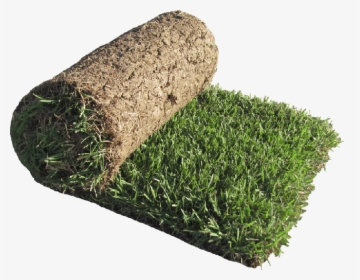 Zenith Zoysia Roll"   Title="zenith Zoysia Roll"   - Sod Grass, HD Png Download, Free Download