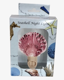 Purple Scallop Boxed Night Light - Nightlight, HD Png Download, Free Download