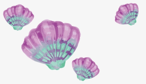 Transparent Watercolors Clipart - Watercolor Shell Png Border, Png Download, Free Download