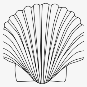 Shell Clipart 15 Shells Clipart Black And White For - Free Seashell Clipart Black And White, HD Png Download, Free Download