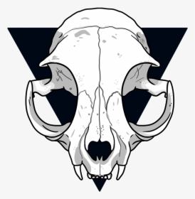Cat Skull Drawing - Easy Cat Skull Drawing, HD Png Download, Free Download