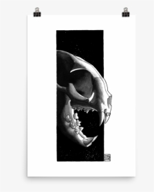 Cat Skull, Black & White - Skull, HD Png Download, Free Download