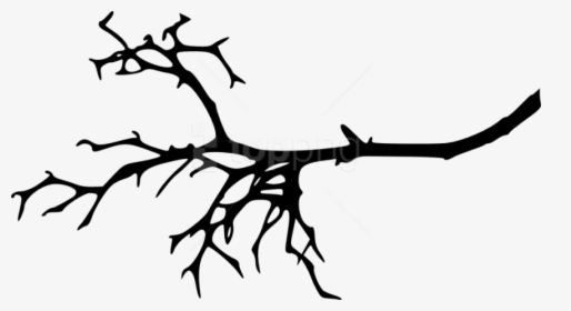 Transparent Tree Png Silhouette - Silhouette Tree Branch Clipart, Png Download, Free Download